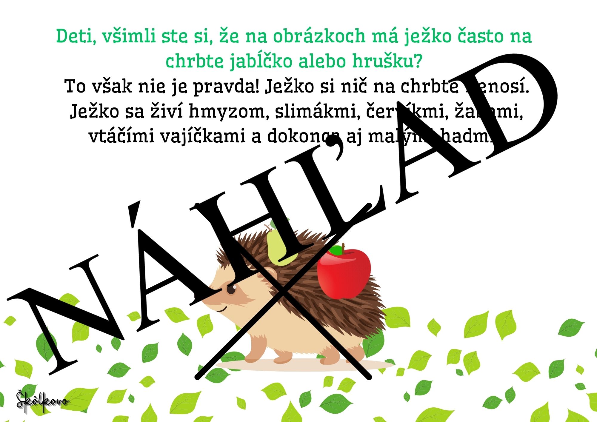 Ježko - náš pichľavý kamarát – Obrázok 3
