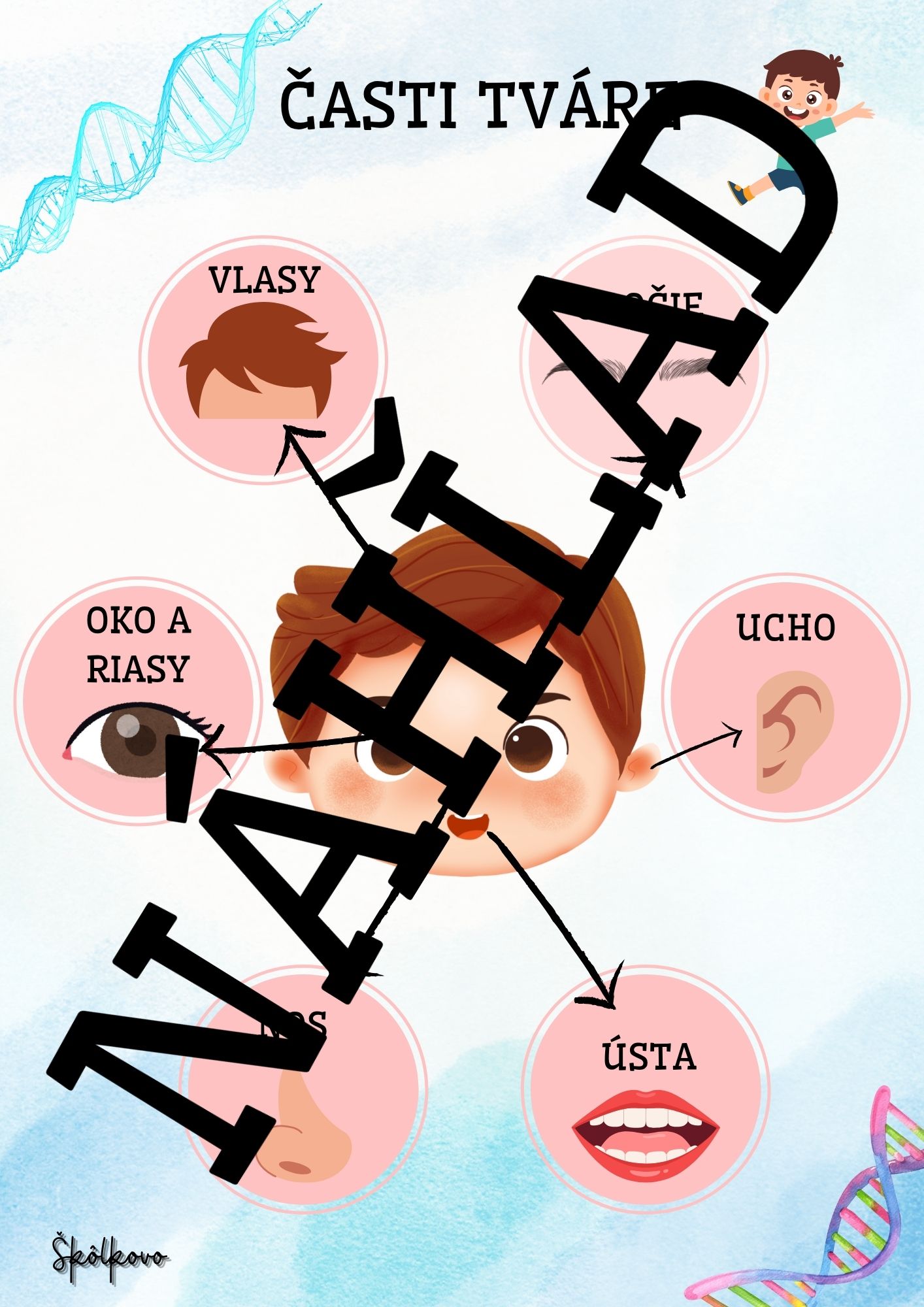 Moje telo – Obrázok 2