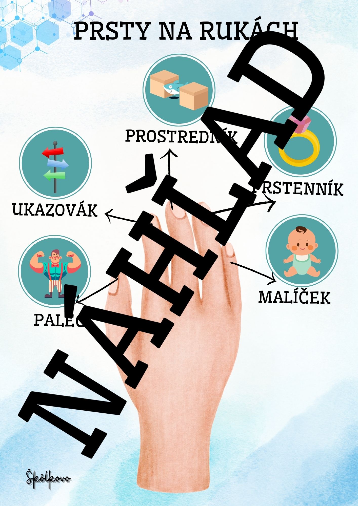 Moje telo – Obrázok 3