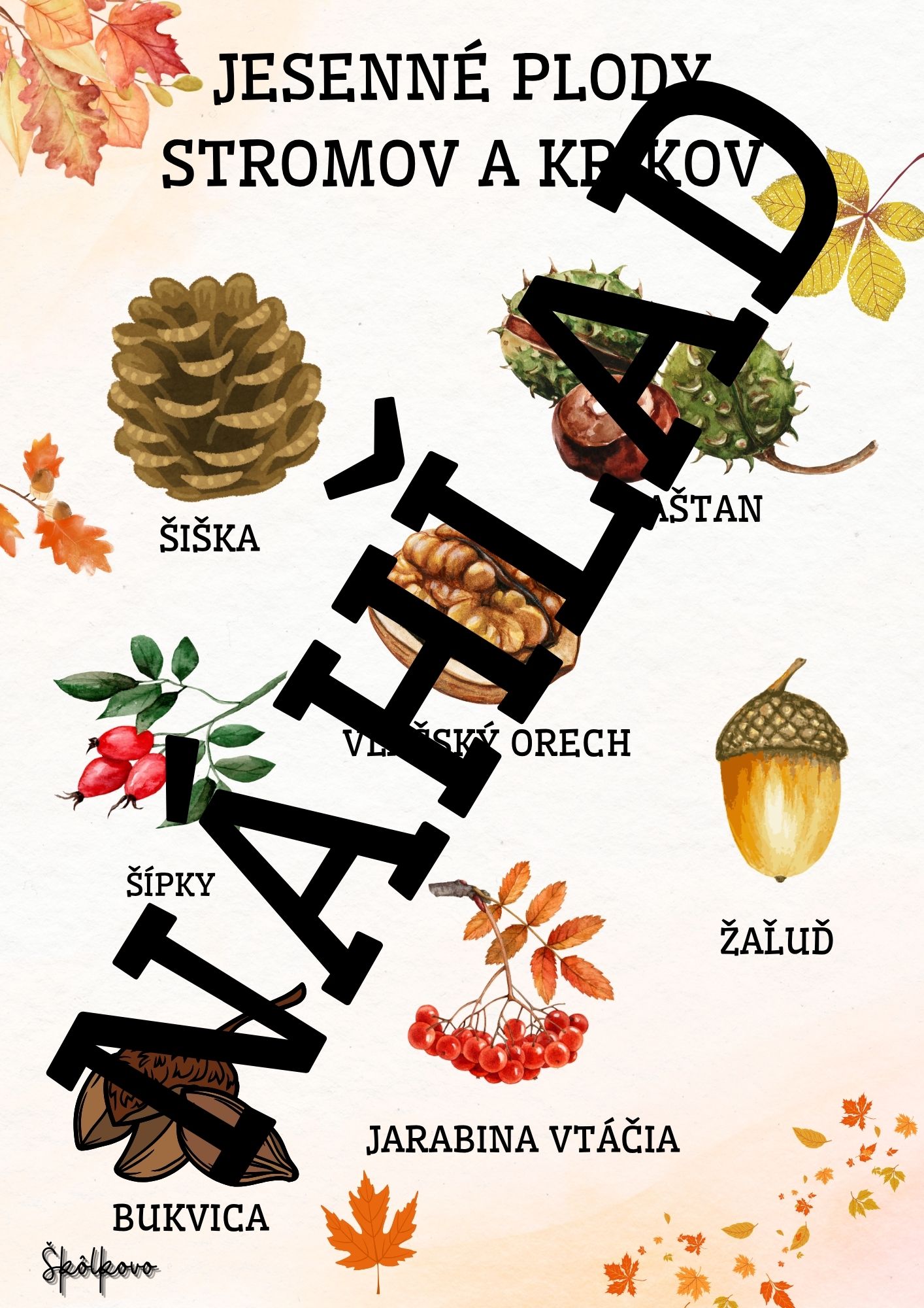 Jeseň – Obrázok 3