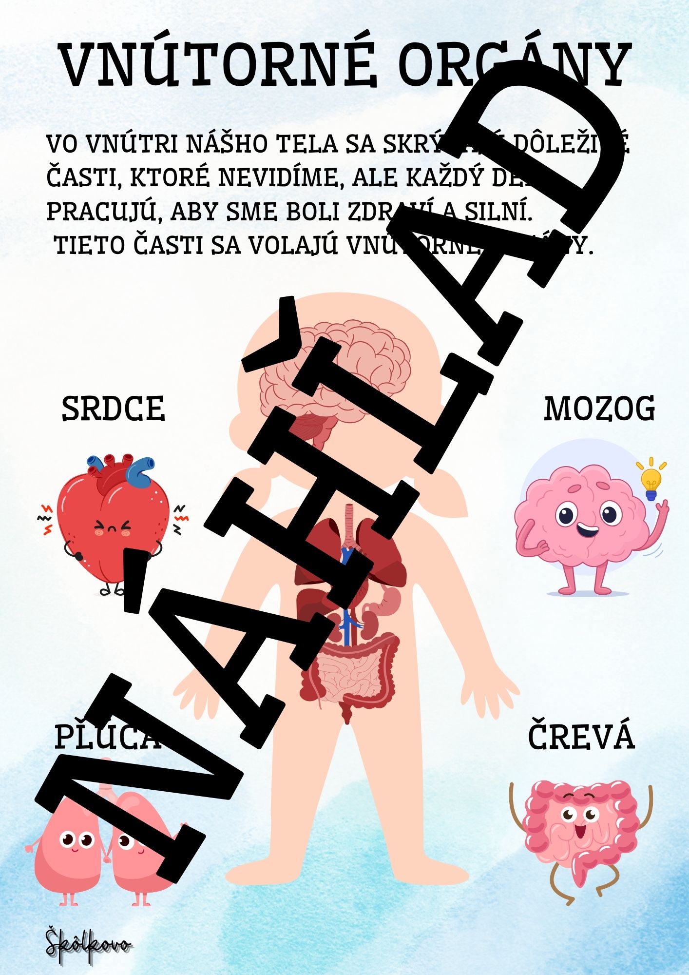 Moje telo – Obrázok 5