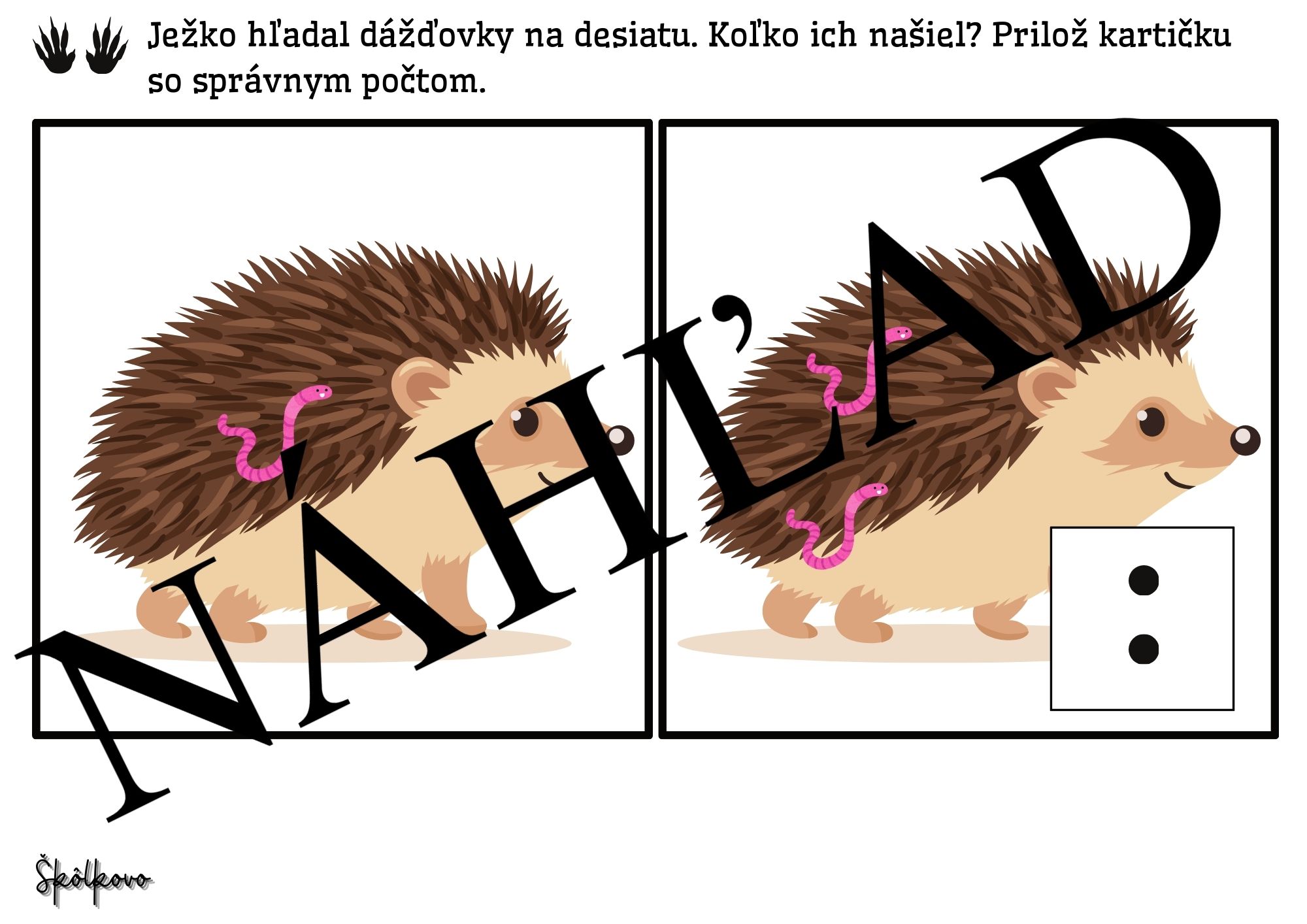 Ježko - náš pichľavý kamarát – Obrázok 6