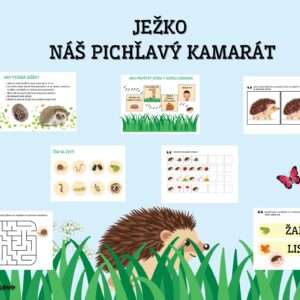 Ježko - náš pichľavý kamarát