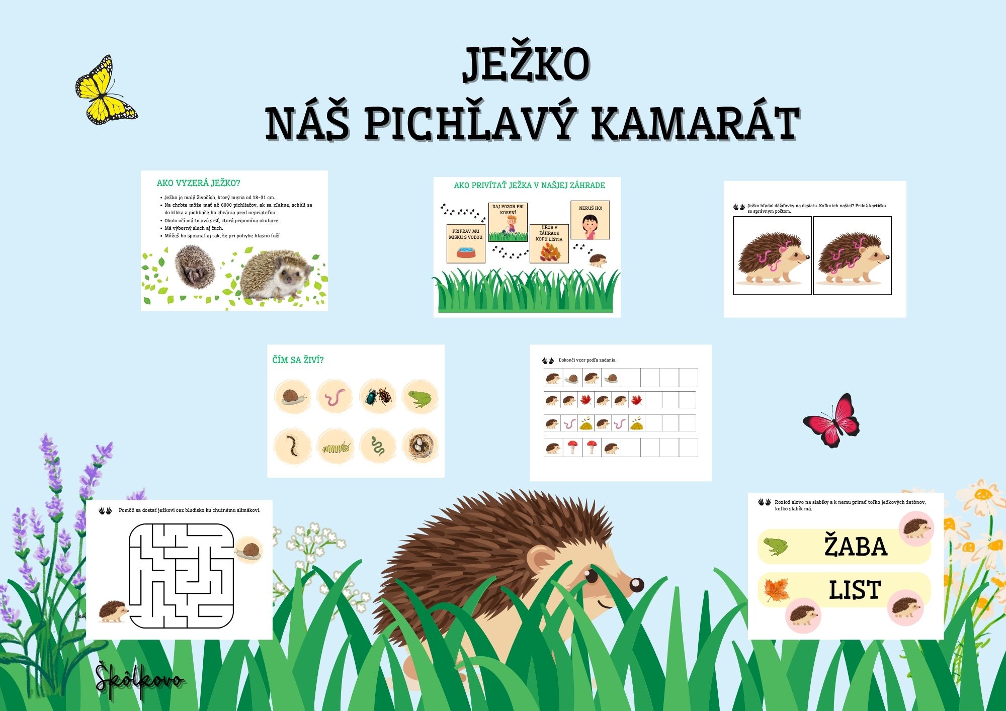 Ježko - náš pichľavý kamarát