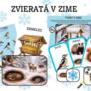 Zvieratá v zime